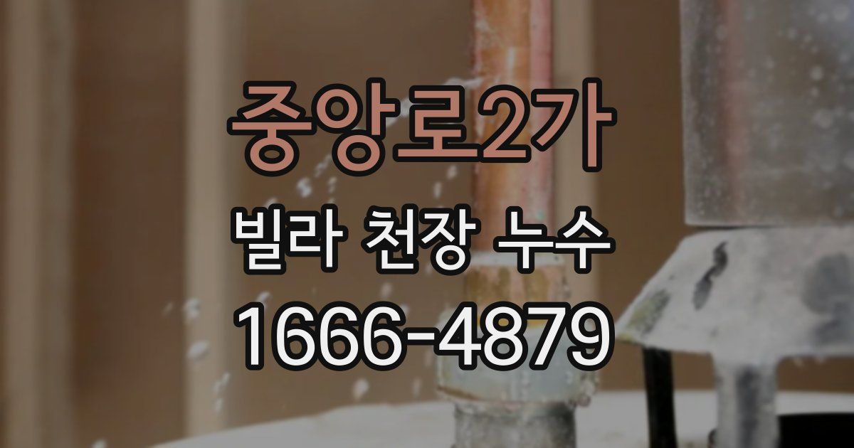 중앙로2가 빌라 천장 누수