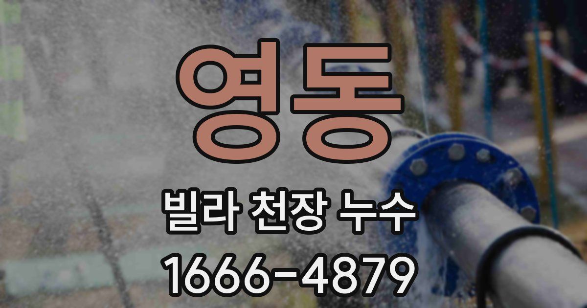 영동 빌라 천장 누수