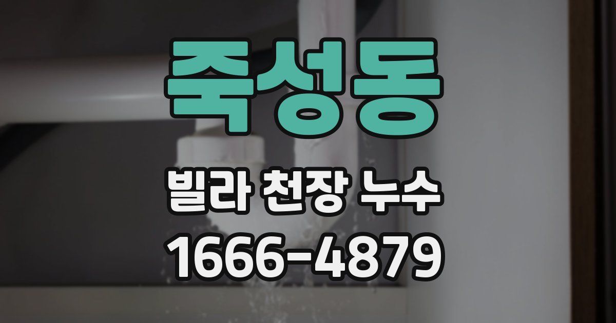죽성동 빌라 천장 누수