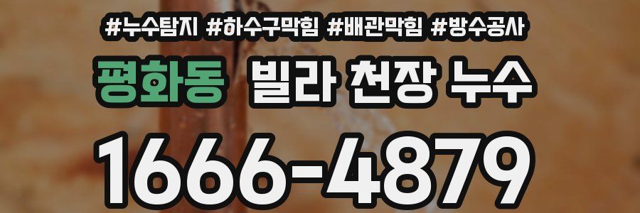 평화동 빌라 천장 누수