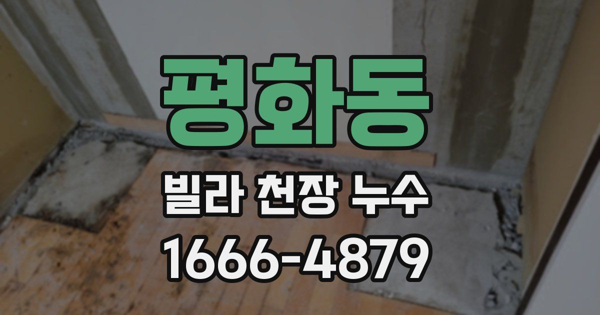 평화동 빌라 천장 누수