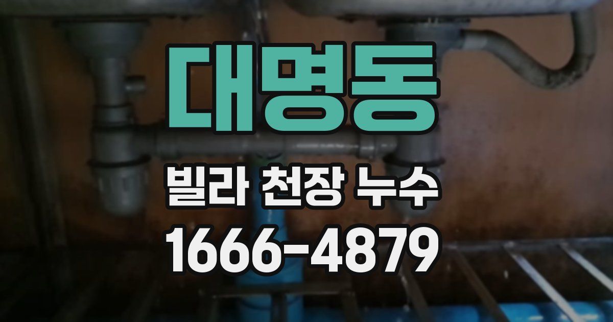 대명동 빌라 천장 누수