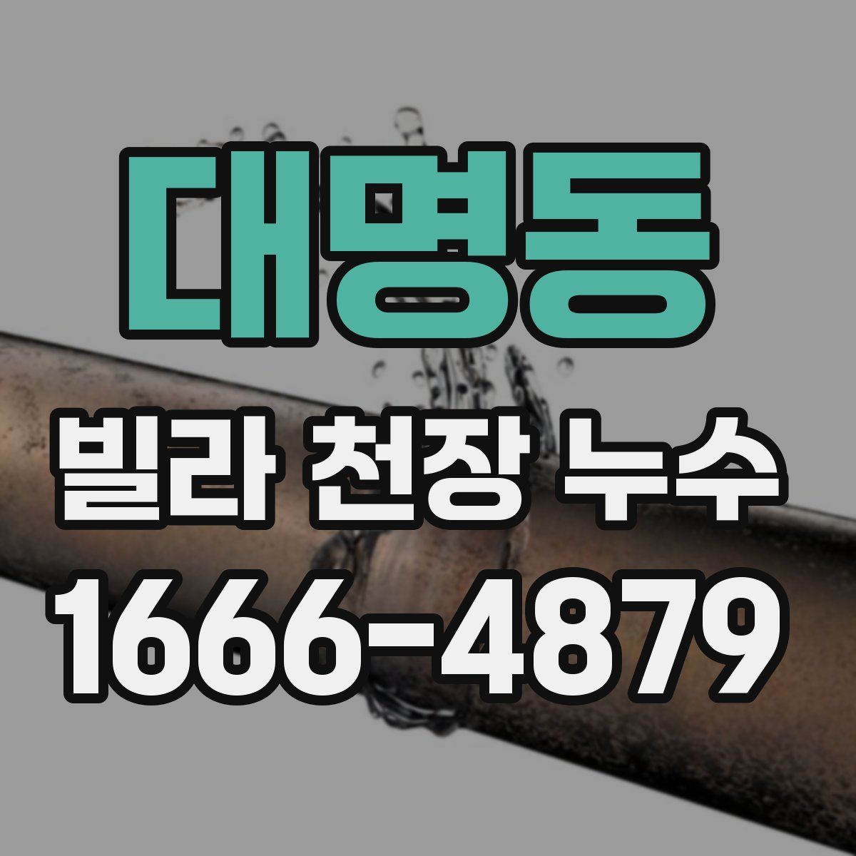 대명동 빌라 천장 누수