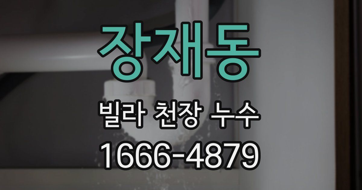 장재동 빌라 천장 누수