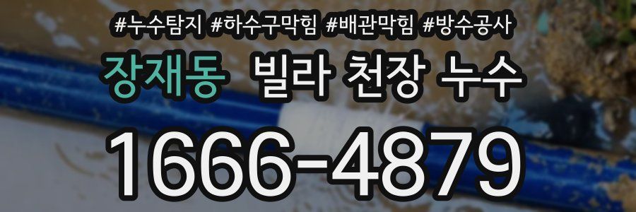 장재동 빌라 천장 누수