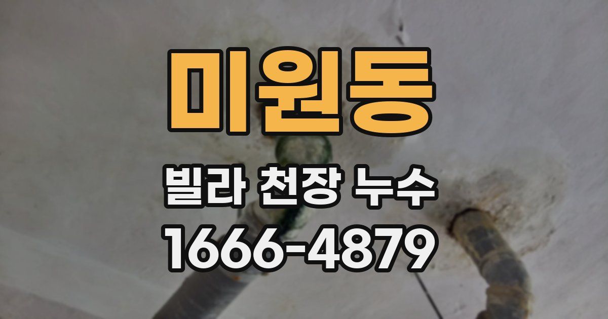 미원동 빌라 천장 누수