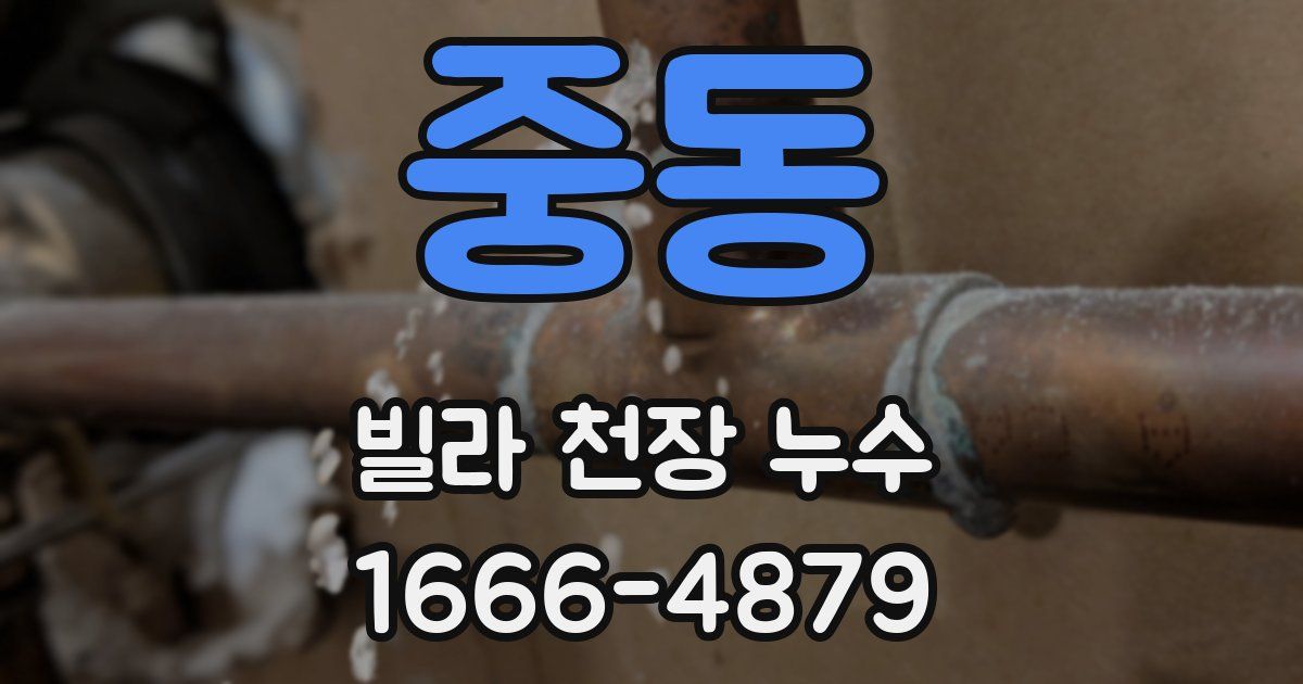중동 빌라 천장 누수