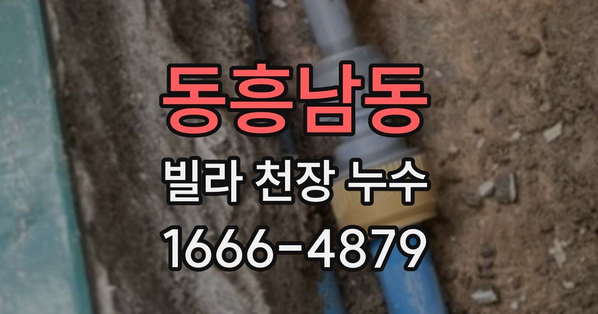 동흥남동 빌라 천장 누수