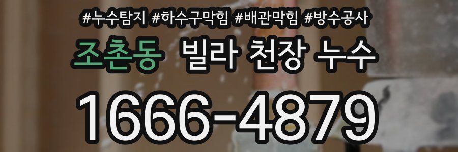 조촌동 빌라 천장 누수