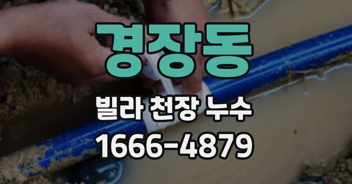 경장동 빌라 천장 누수