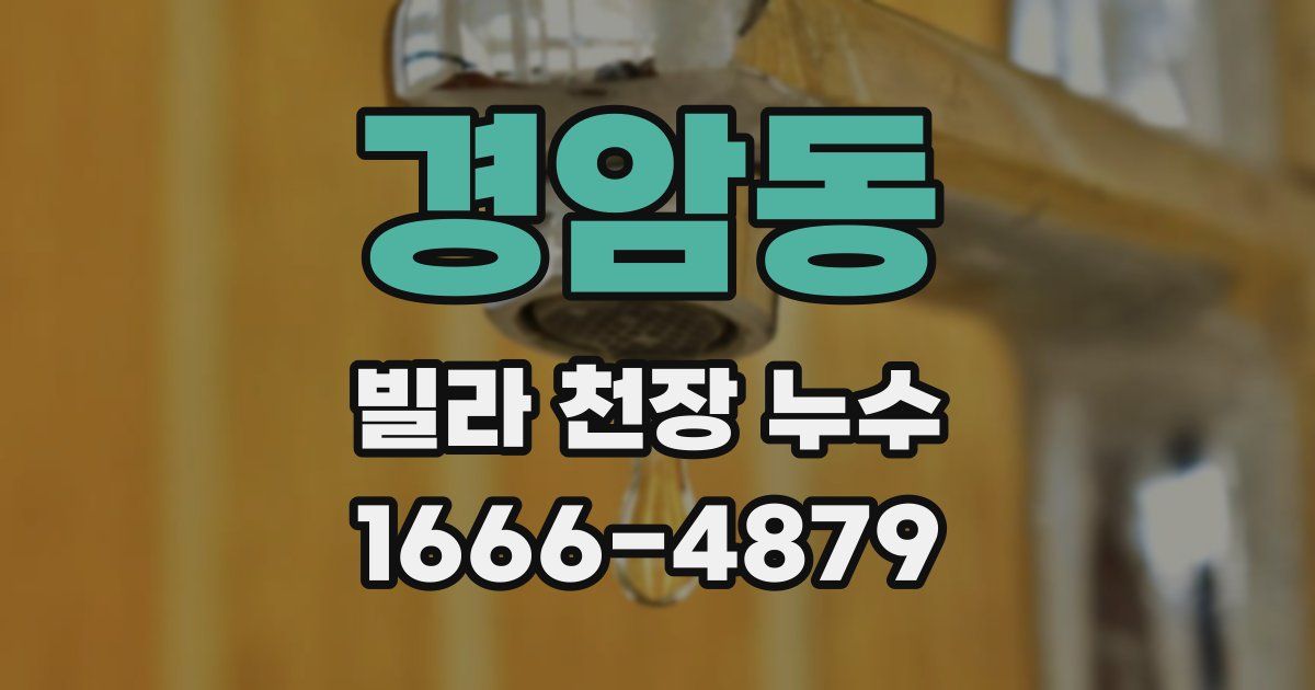 경암동 빌라 천장 누수