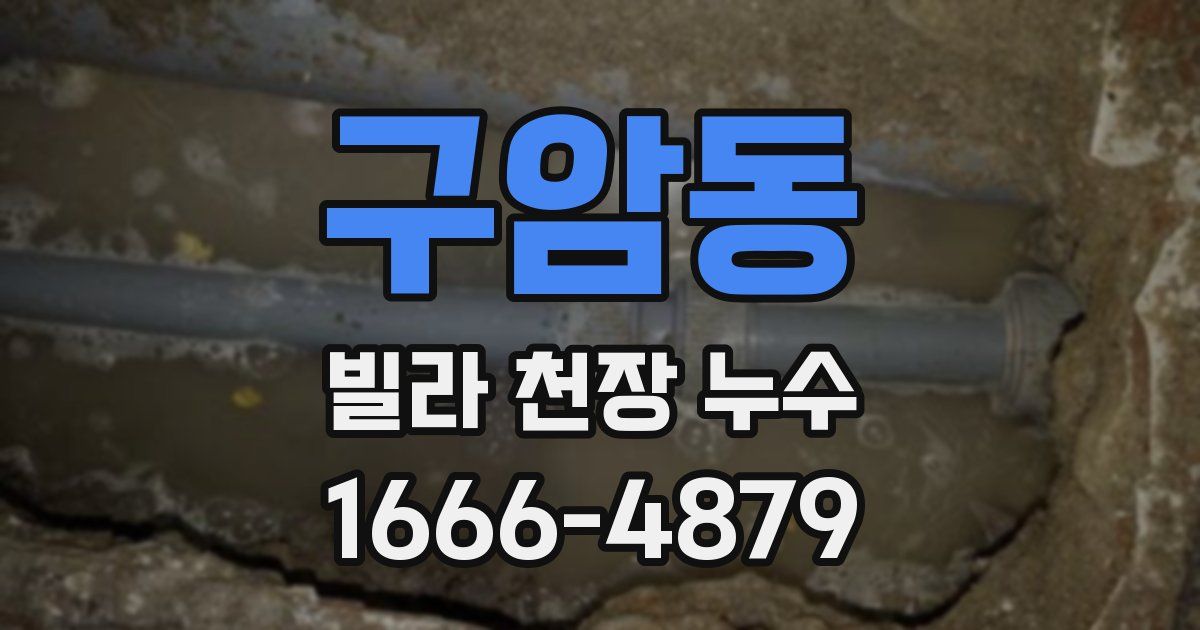 구암동 빌라 천장 누수