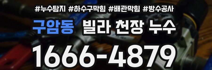 구암동 빌라 천장 누수