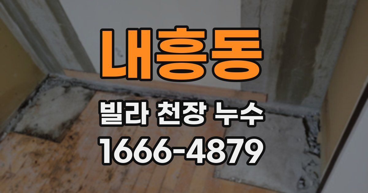 내흥동 빌라 천장 누수