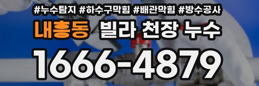 내흥동 빌라 천장 누수