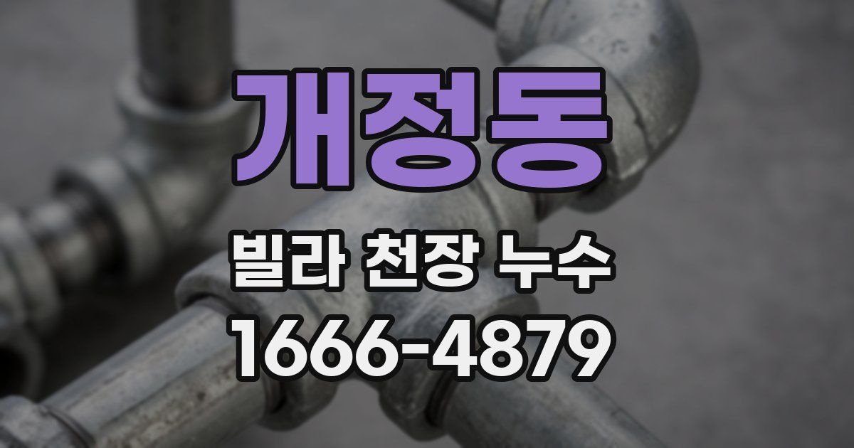 개정동 빌라 천장 누수