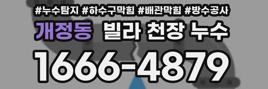 개정동 빌라 천장 누수