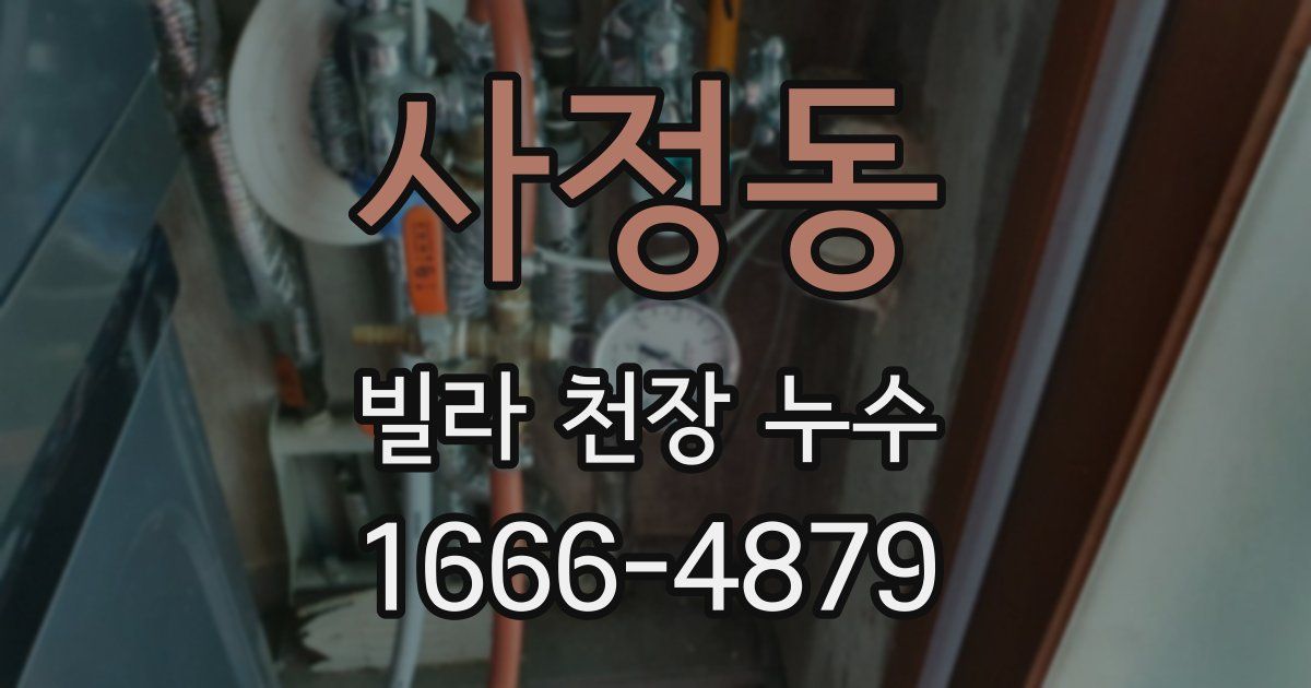 사정동 빌라 천장 누수