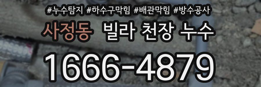 사정동 빌라 천장 누수