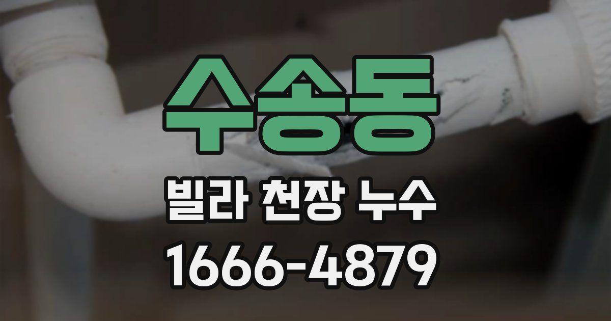 수송동 빌라 천장 누수