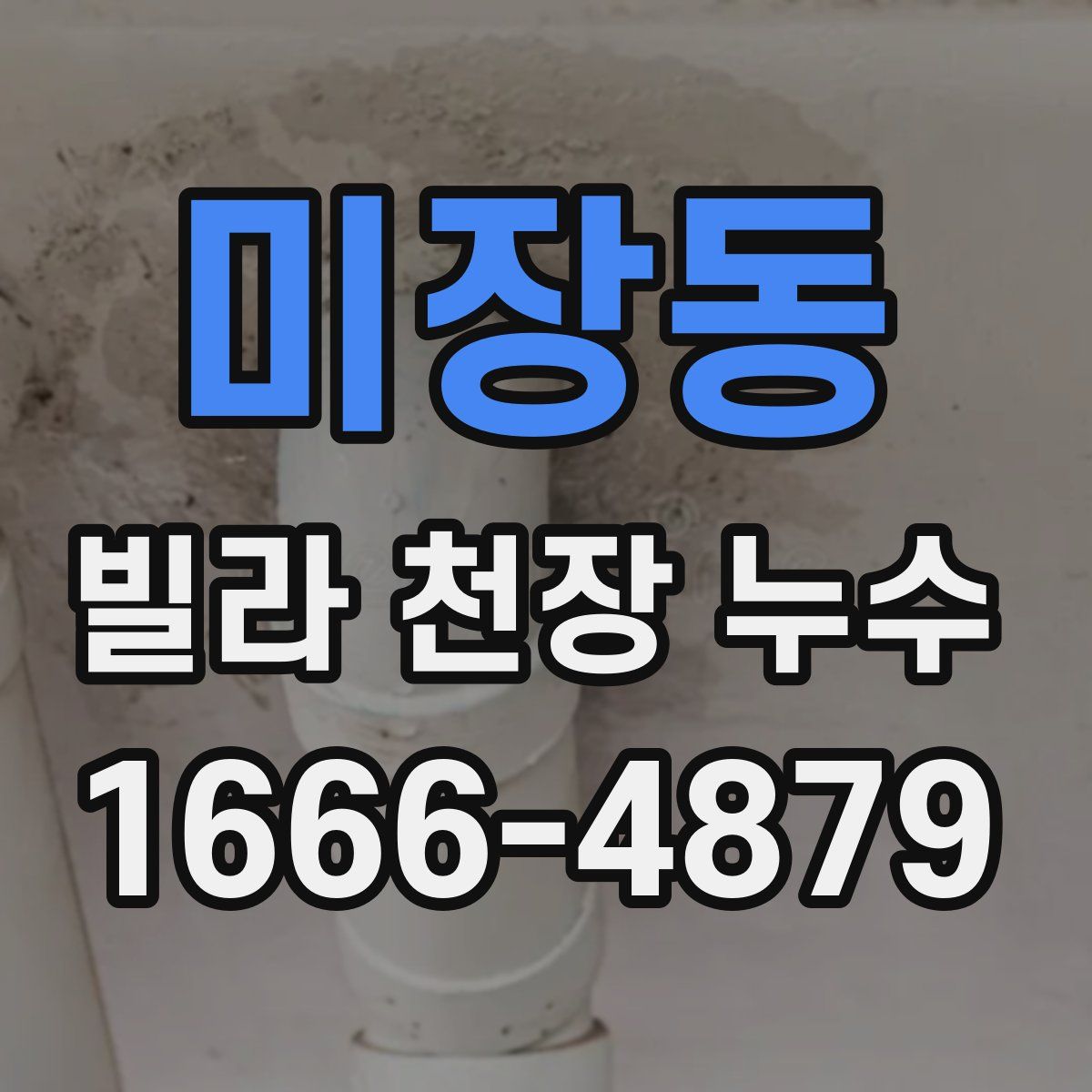 미장동 빌라 천장 누수