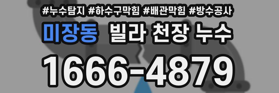 미장동 빌라 천장 누수