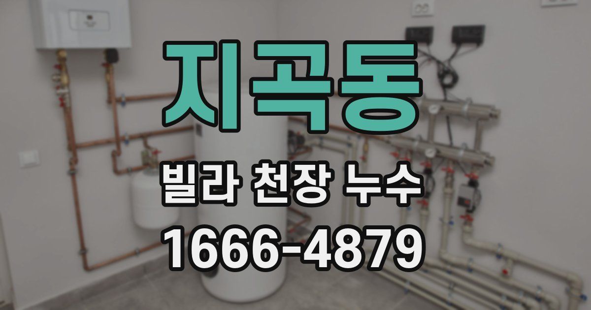 지곡동 빌라 천장 누수