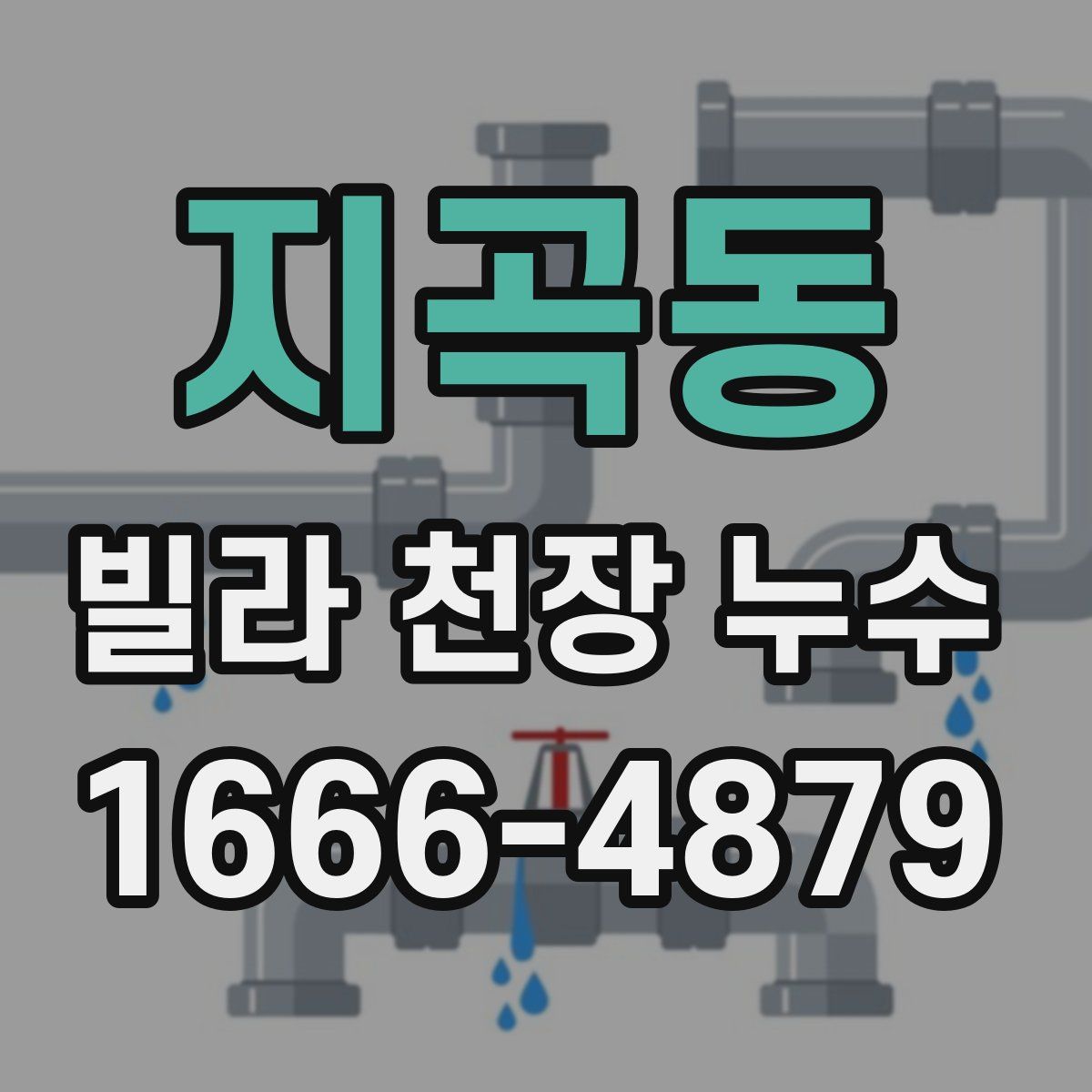 지곡동 빌라 천장 누수