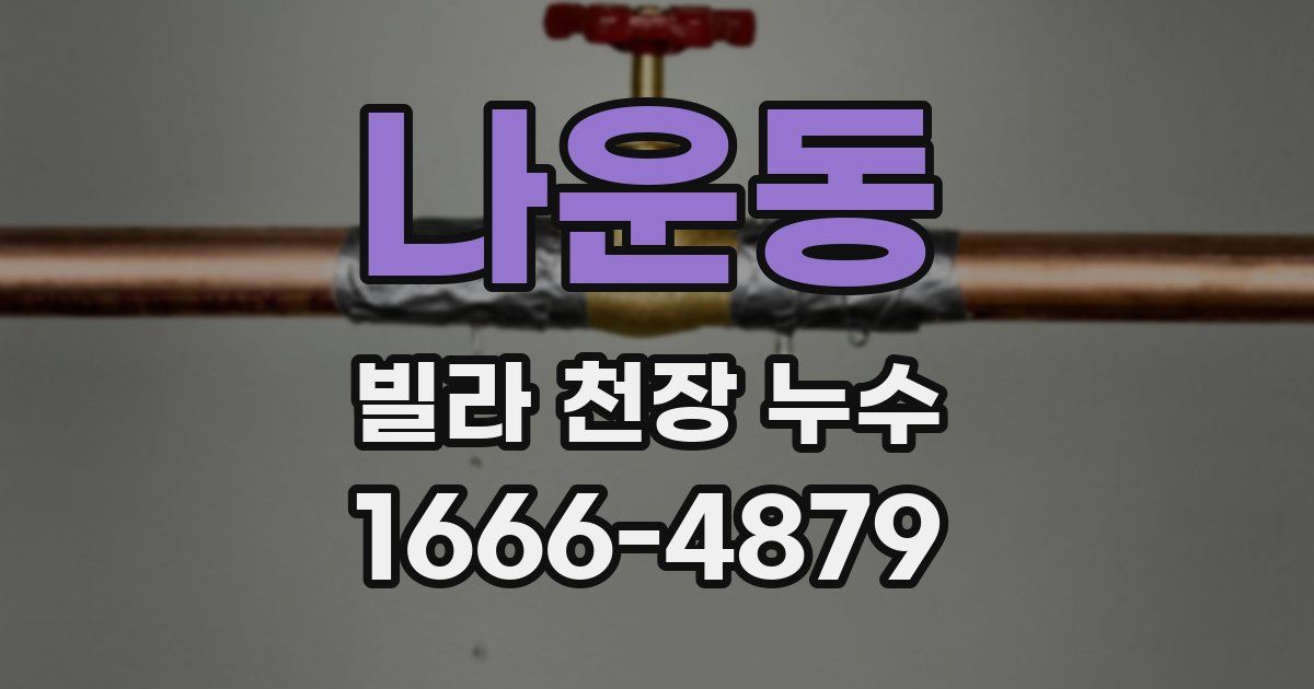 나운동 빌라 천장 누수