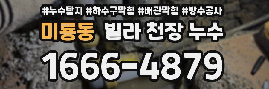 미룡동 빌라 천장 누수
