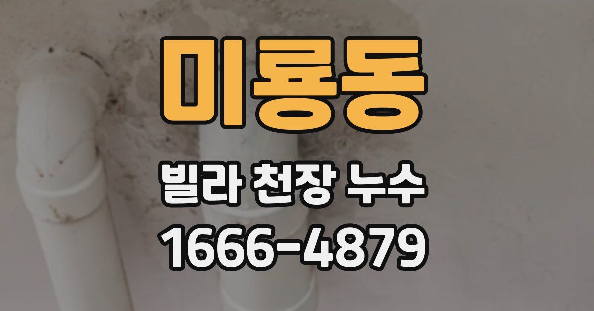미룡동 빌라 천장 누수
