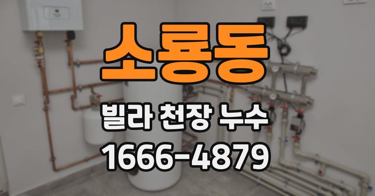 소룡동 빌라 천장 누수
