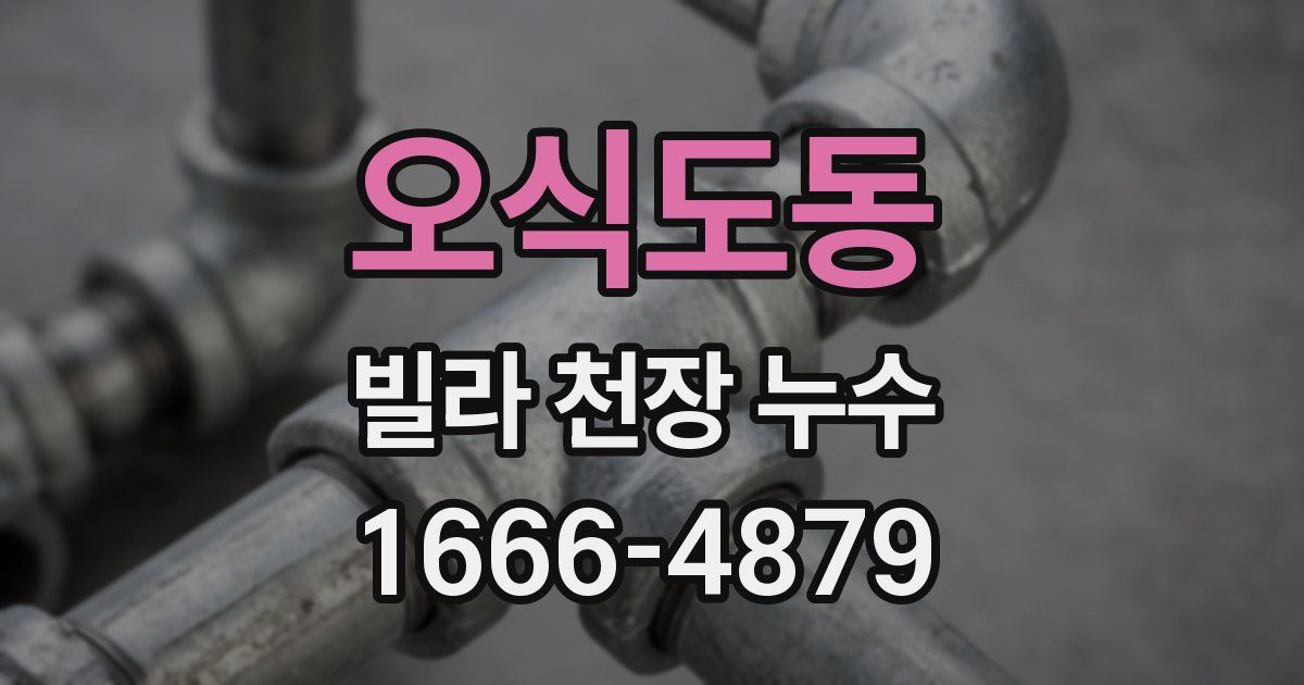 오식도동 빌라 천장 누수