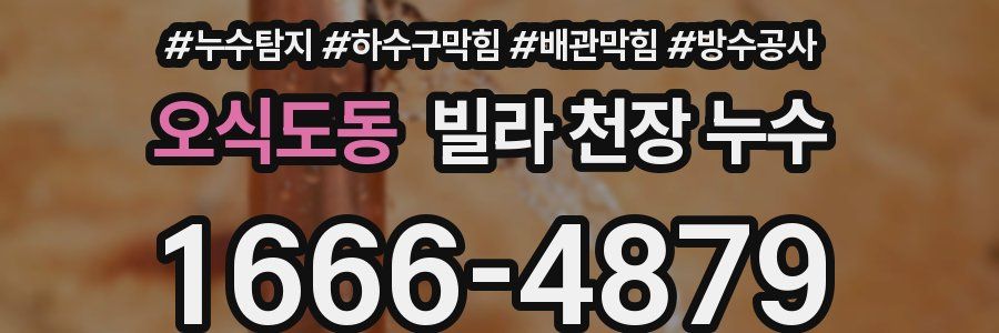 오식도동 빌라 천장 누수