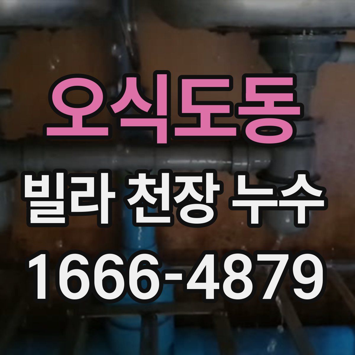 오식도동 빌라 천장 누수