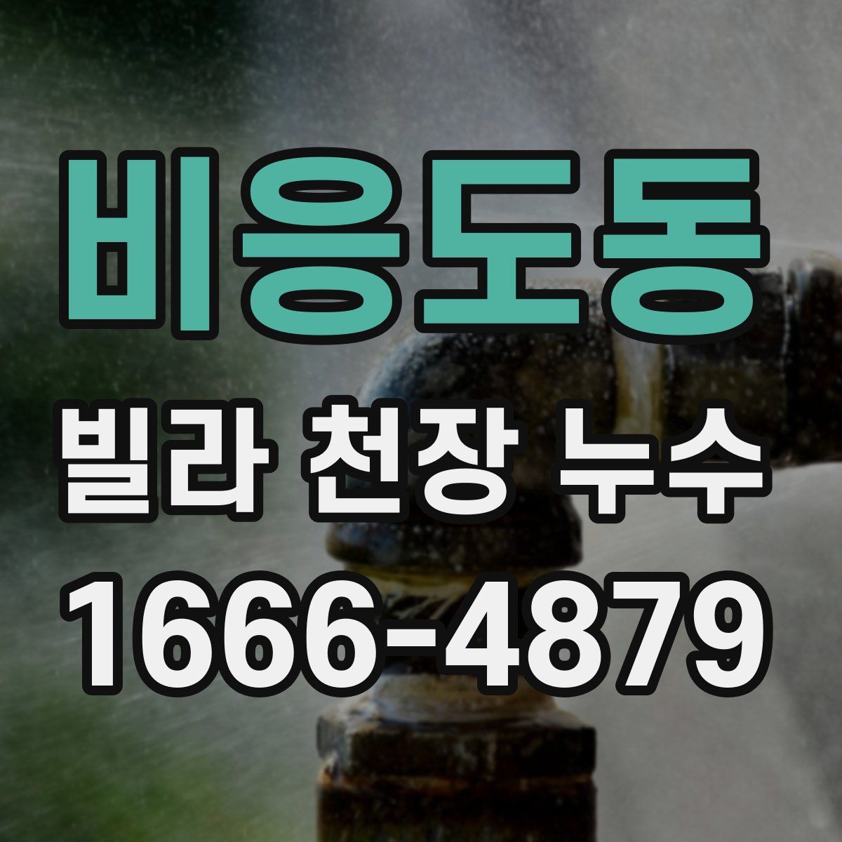 비응도동 빌라 천장 누수