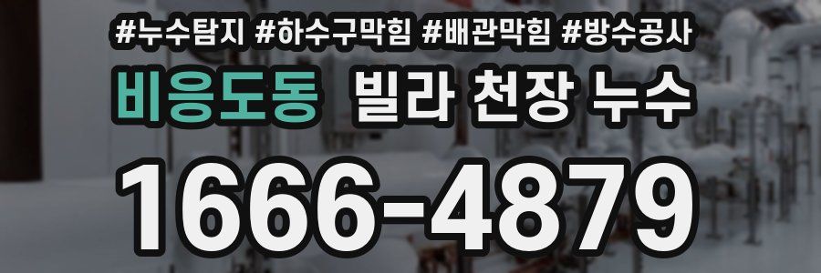 비응도동 빌라 천장 누수