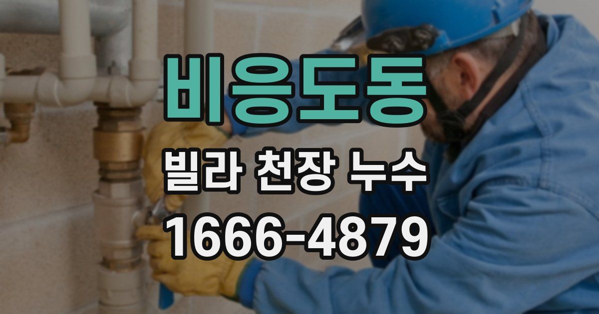 비응도동 빌라 천장 누수