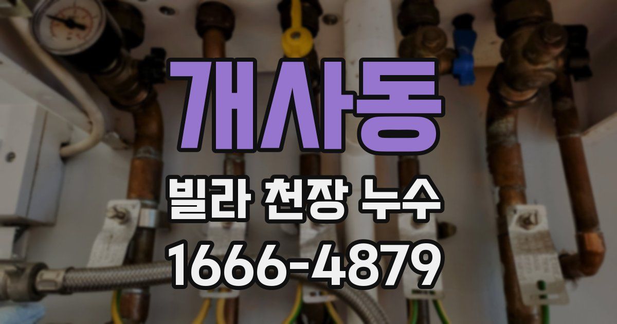 개사동 빌라 천장 누수