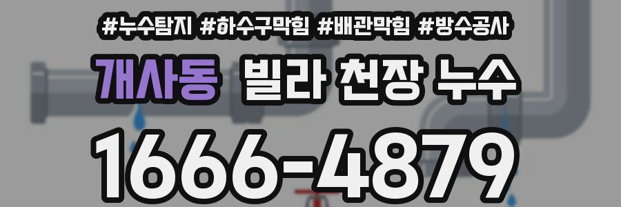 개사동 빌라 천장 누수