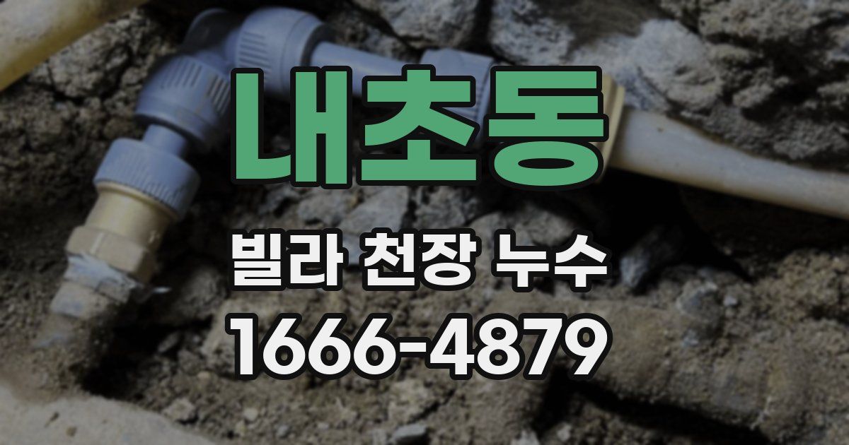 내초동 빌라 천장 누수