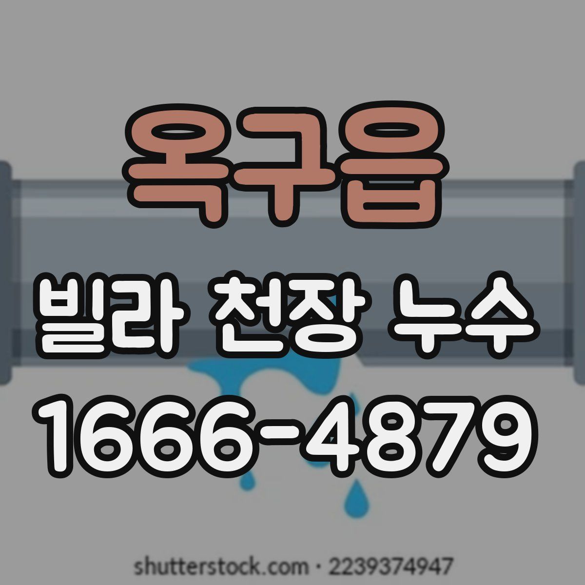 옥구읍 빌라 천장 누수