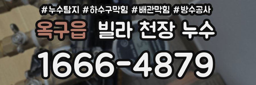 옥구읍 빌라 천장 누수