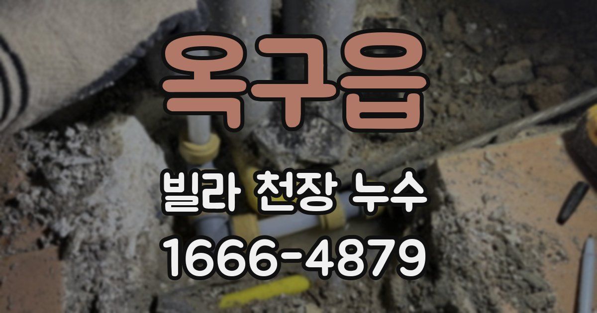옥구읍 빌라 천장 누수