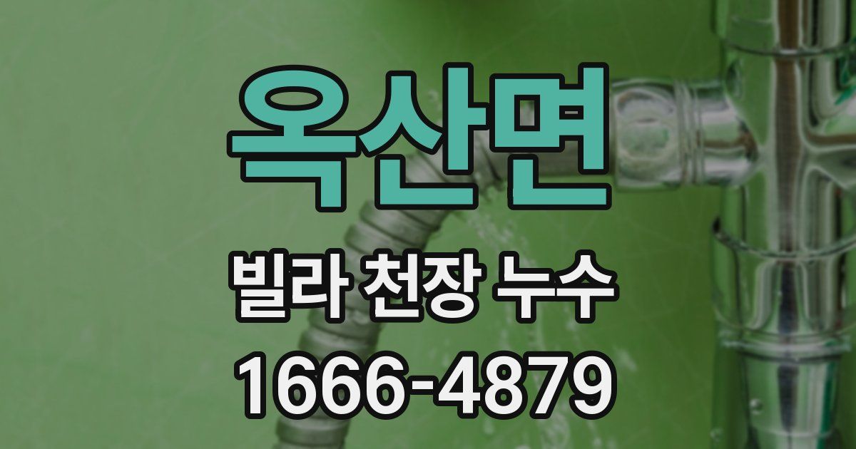 옥산면 빌라 천장 누수