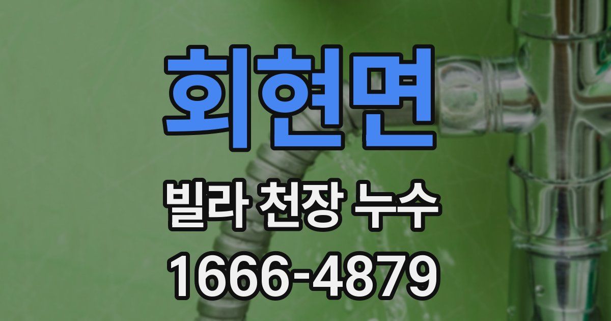 회현면 빌라 천장 누수