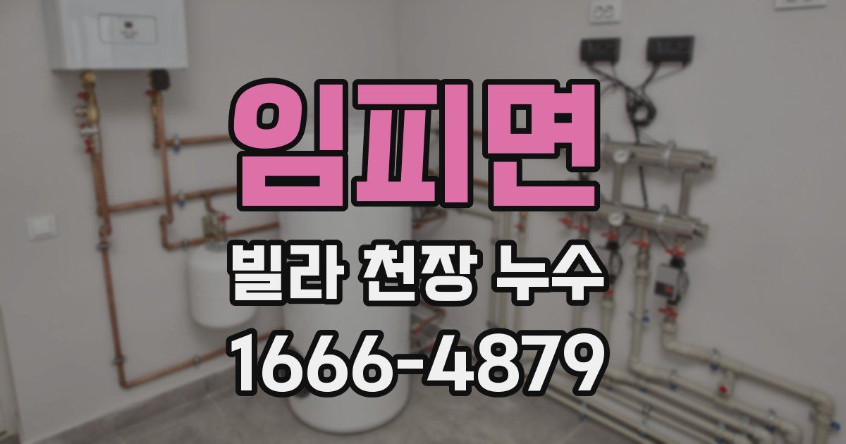 임피면 빌라 천장 누수