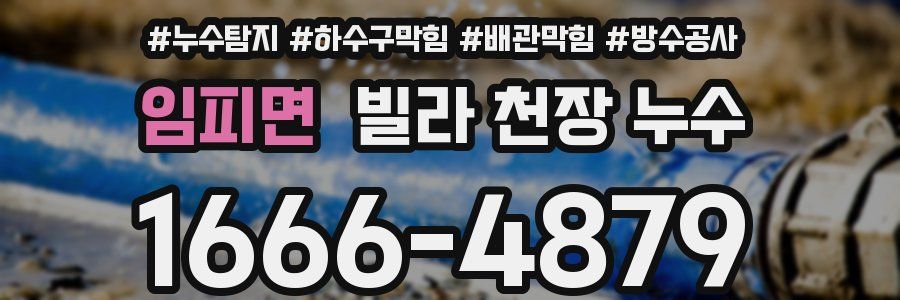 임피면 빌라 천장 누수
