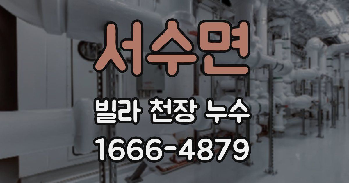 서수면 빌라 천장 누수
