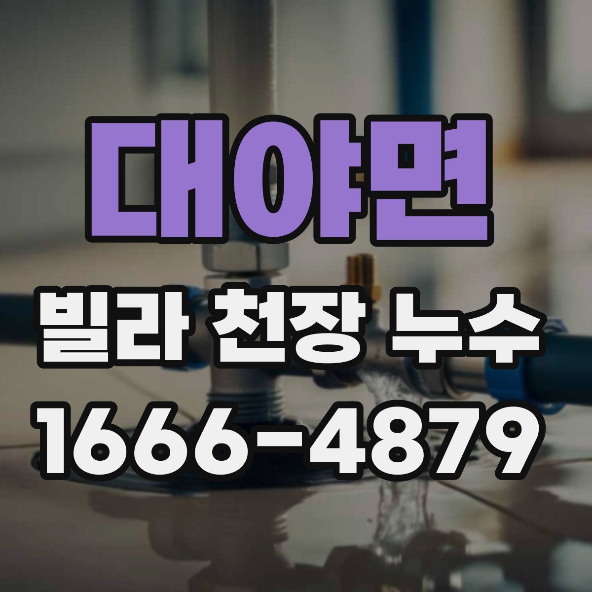 대야면 빌라 천장 누수